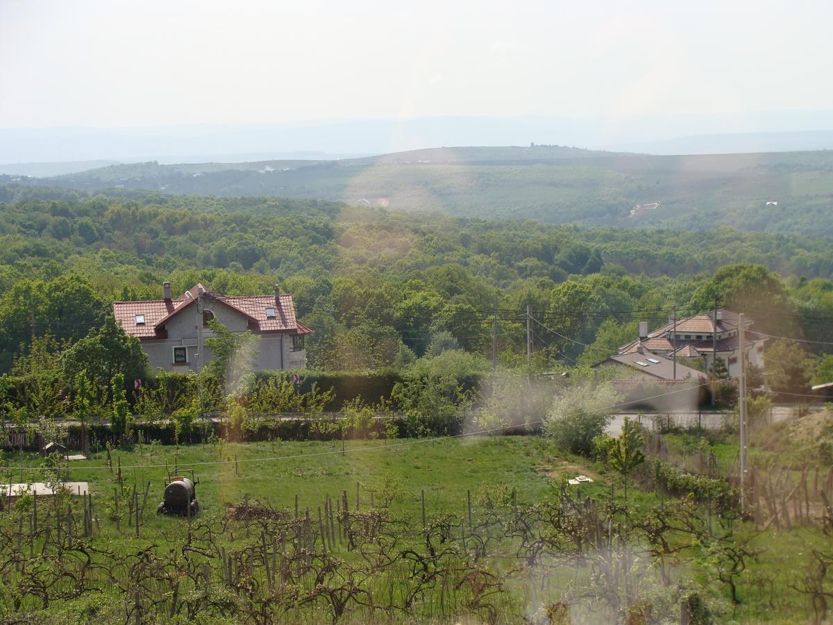 Pensiunea Taverna Bucium Iasi Exteriör bild