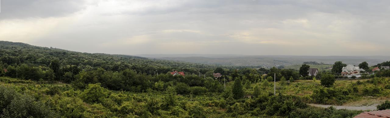 Pensiunea Taverna Bucium Iasi Exteriör bild